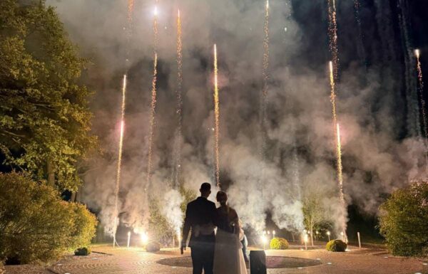 Kategoria Sprzedawca Galeria Michal00123