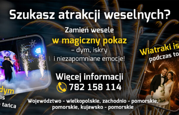 Kategoria Sprzedawca Michal00123